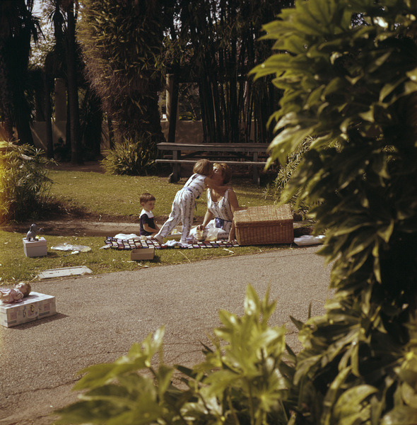 The happy family enjoying a picnic on the grass surrounded by trees and foliage.