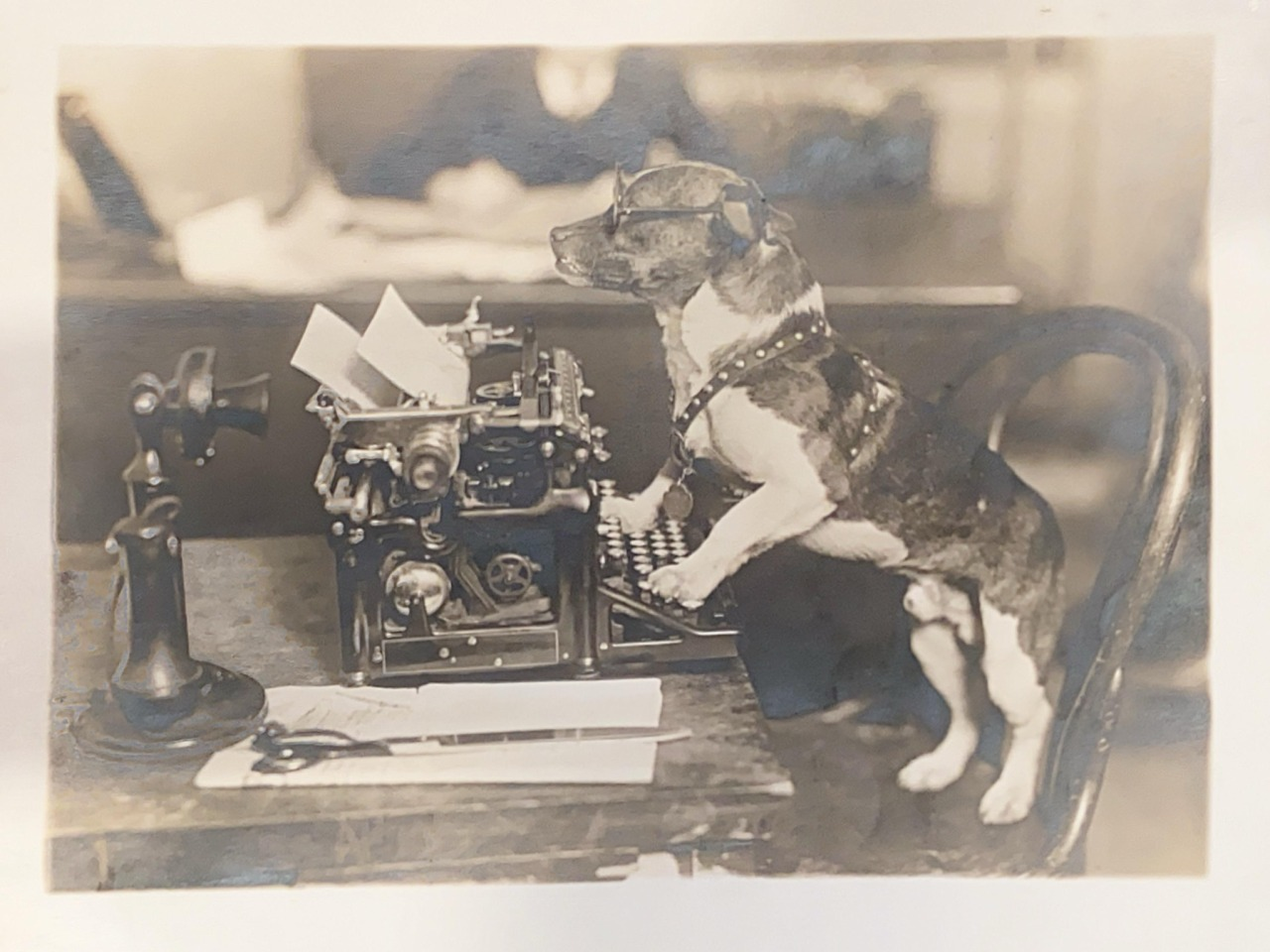 Black-and-white photo of a small dog wearing glasses at a mechanical-typewriter, with a candlestick phone to one side.